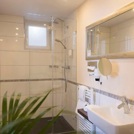 Western Lamm מלון סינגן