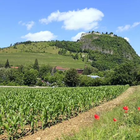 Western Lamm מלון סינגן